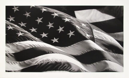 Untitled (Flag) by Robert Longo at Hamilton-Selway Fine Art