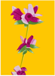 Azaleas on Yellow by Alex Katz at Leslie Sacks Gallery