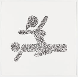 Lovebugs by Vik Muniz at Graphicstudio