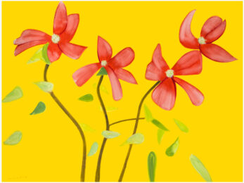 Red Dogwood 1 by Alex Katz at Leslie Sacks Gallery