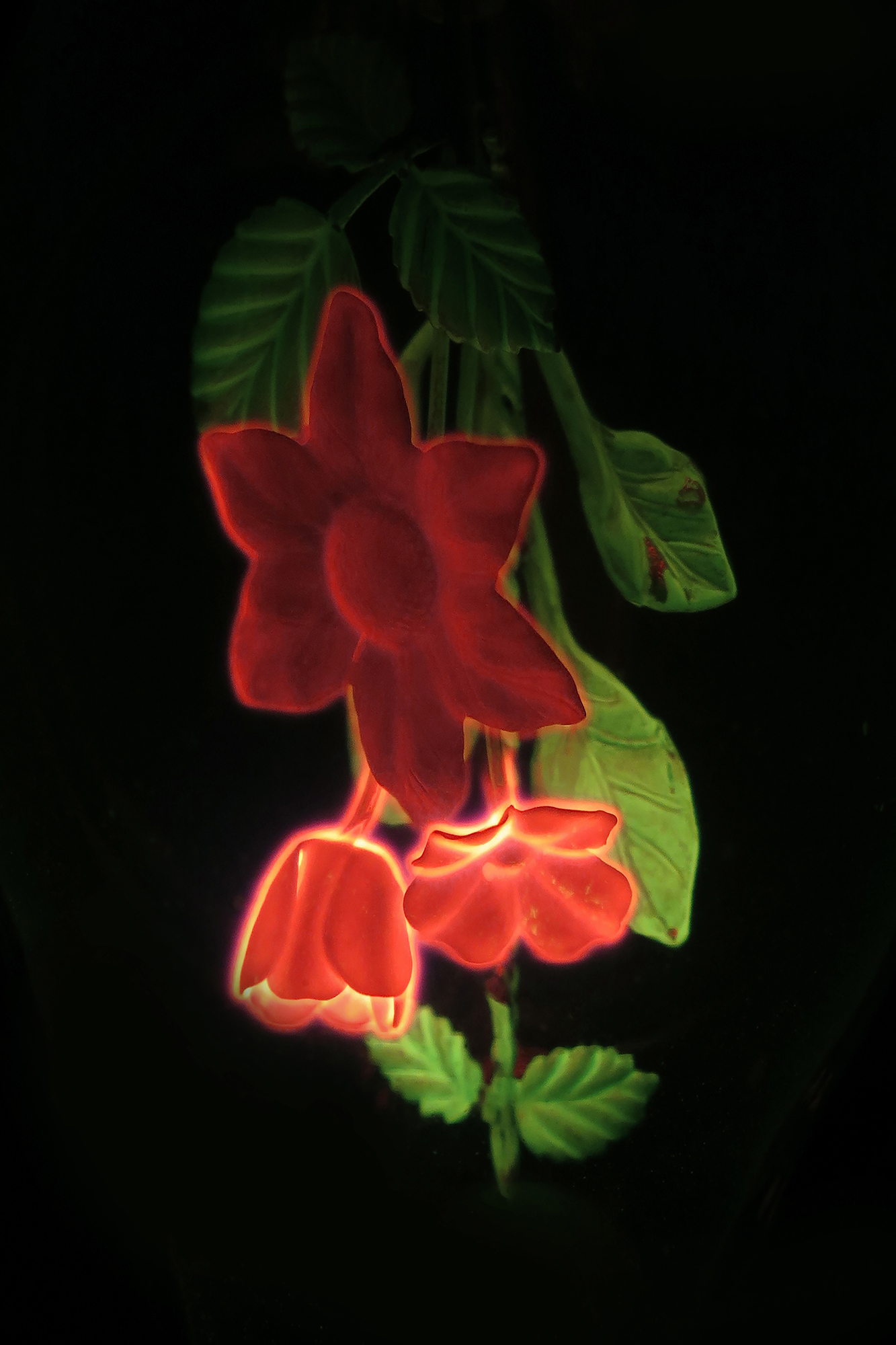 Floral Filament #1 by Gary Justis
