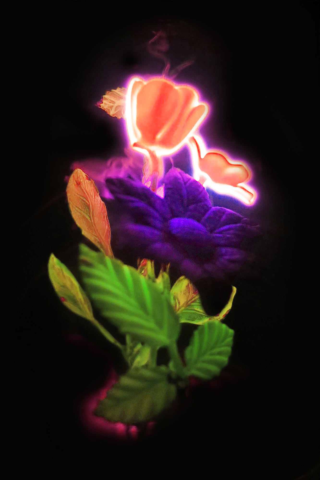 Floral Filament #1B by Gary Justis