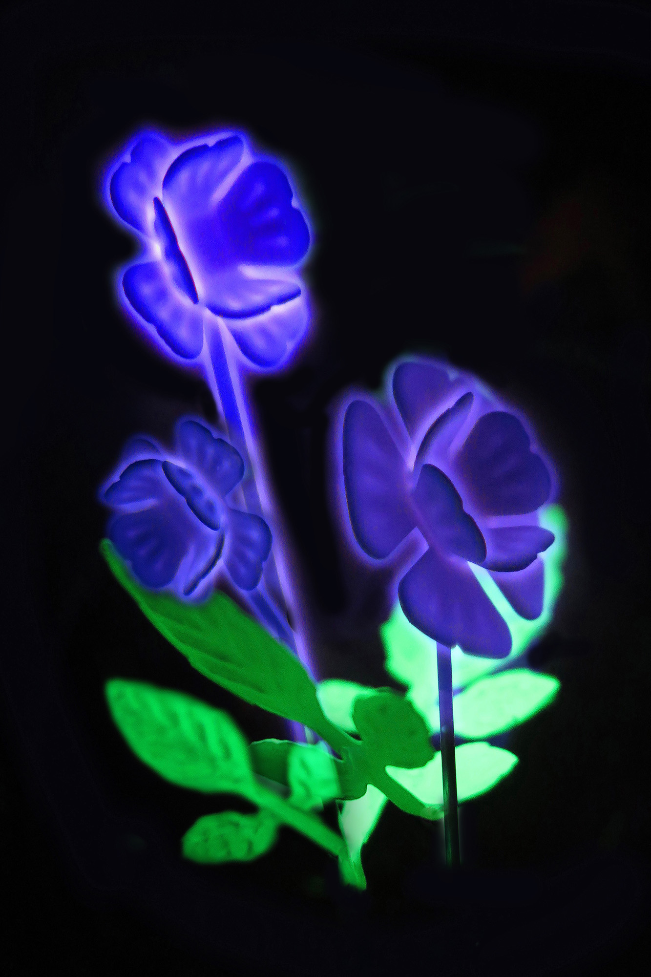 Three Blues by Gary Justis