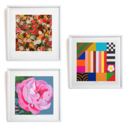 A Rose, Is A Rose, Is A Rose by Peter Blake at RedHouse Gallery