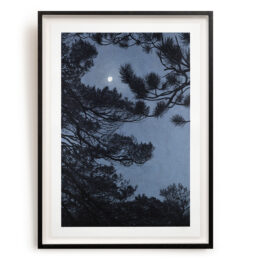 Another Sleepless Night by Danny Larsen at RedHouse Gallery