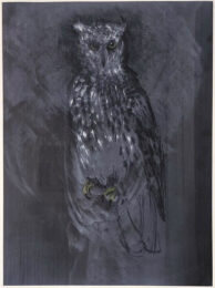 Great Horned Owl by Jim Dine at Leslie Sacks Gallery