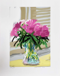 Untitled by David Hockney at Leslie Sacks Gallery