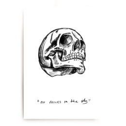 No Voices In The Sky by Schoph at RedHouse Gallery