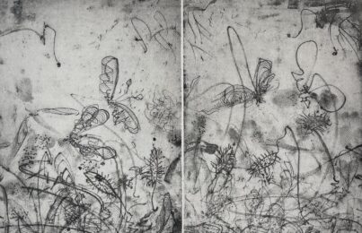 Thicket & Thistle by Nancy Lasar at VanDeb Editions