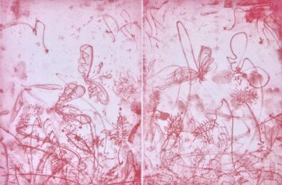 Thistles in Red by Nancy Lasar at VanDeb Editions