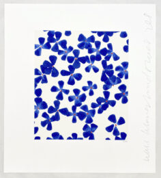 Wallflowers (#1) by Donald Sultan at Leslie Sacks Gallery