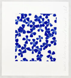 Wallflowers (#1) by Donald Sultan at Leslie Sacks Gallery