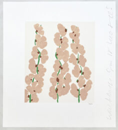 Wallflowers (#3) by Donald Sultan at Leslie Sacks Gallery