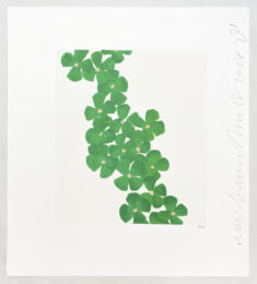 Wallflowers (#6) by Donald Sultan at Leslie Sacks Gallery