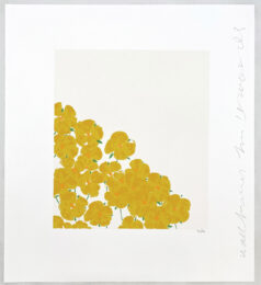 Wallflowers (#7) by Donald Sultan at Leslie Sacks Gallery