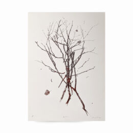 Bjarkan – Print Edition by Danny Larsen at RedHouse Gallery
