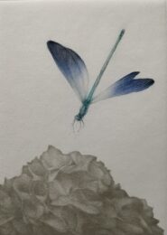 Demoiselle by Mikio Watanabe at ebo Gallery