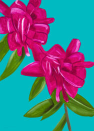 Peonies from The Flowers Portfolio by Alex Katz at Hamilton-Selway Fine Art