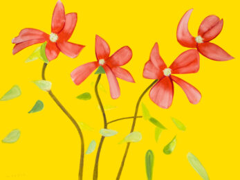 Red Dogwood 1 from The Flowers Portfolio by Alex Katz at Hamilton-Selway Fine Art