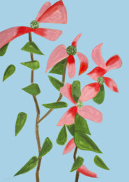 Red Dogwood 2 from The Flowers Portfolio by Alex Katz at Hamilton-Selway Fine Art