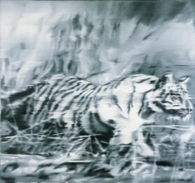 Tiger by Gerhard Richter at Dovehouse Contemporary
