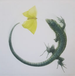 Tolerance by Mikio Watanabe at ebo Gallery