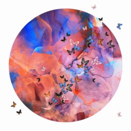 Butterflies Only: Blush by Tunku Khalsom at Addicted Art Gallery