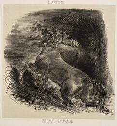 Cheval sauvage (Wild horse) by Eugène Delacroix at Emanuel von Baeyer - Cabinet