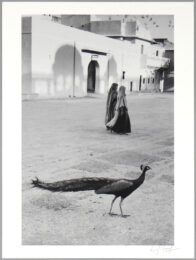 Jaipur (1956) by Marc Riboud at Eyestorm