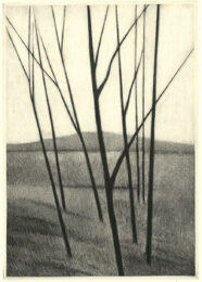 Landscape w/mountain & eight trees by Robert Kipniss at ebo Gallery