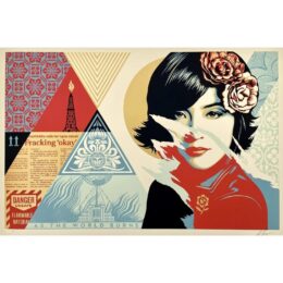 Open Minds by Shepard Fairey at Dovehouse Contemporary