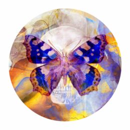 Skullfly: Addicted to Purple Yellow by Tunku Khalsom at Addicted Art Gallery