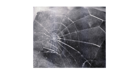 Spider Web by Vija Celmins at Lincoln Center Editions