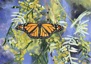 Tender Nectar 5 by Sari Davidson at Oehme Graphics