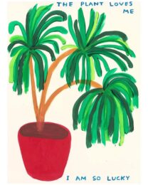 The Plant Loves Me by David Shrigley at Dovehouse Contemporary
