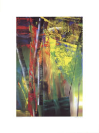 Victoria i by Gerhard Richter at Dovehouse Contemporary