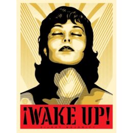 Wake Up by Shepard Fairey at Dovehouse Contemporary