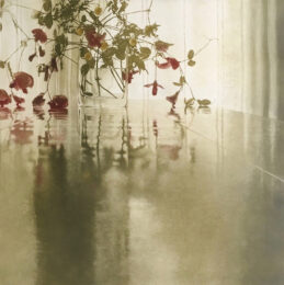 Window Light XXIV by Anja Percival at ebo Gallery