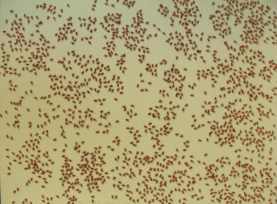 Red Ants, from: Insects by Ed Ruscha