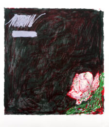 Breadfruit by Pat Steir at Lincoln Center Editions