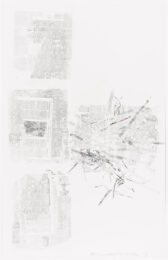 Crops: Coconut by Robert Rauschenberg at Graphicstudio