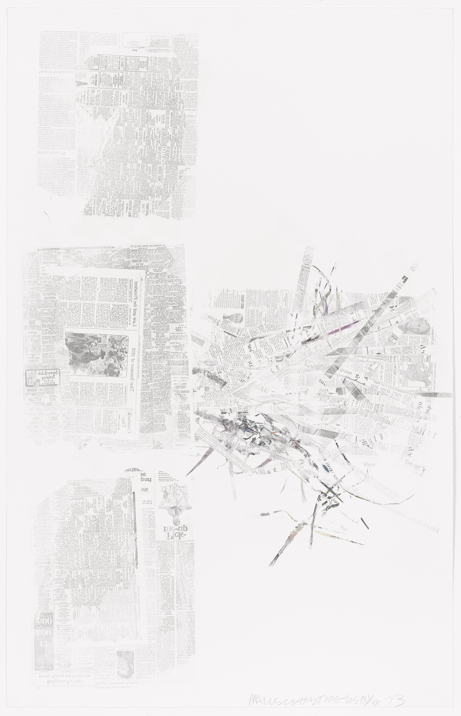 Crops: Coconut by Robert Rauschenberg