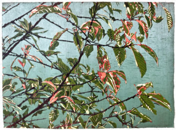 Early Autumn by Jean Gumpper at ebo Gallery