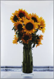 Frozen Sunflowers (Eternal Spring) by Marc Quinn at Eyestorm