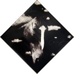 Horse 2 by Joe Andoe at Hamilton-Selway Fine Art