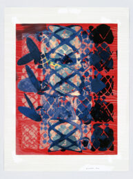 Illustrated Set by Terry Winters at Lincoln Center Editions