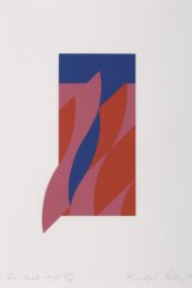 One Small Step by Bridget Riley at Zebra One