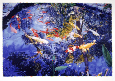 Pond by Joseph Raffael at Lincoln Center Editions