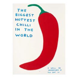 The Biggest Chilli by David Shrigley at Dovehouse Contemporary