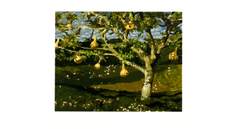 The Gourd Tree by Jamie Wyeth at Lincoln Center Editions